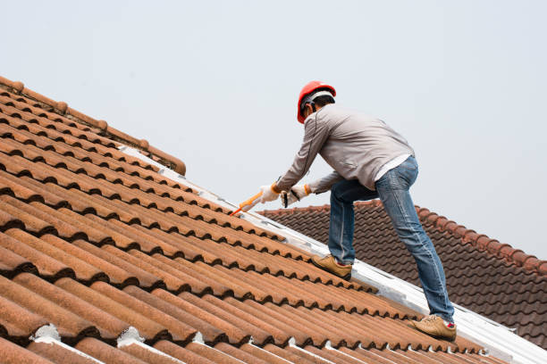 Best Skylight Installation and Repair  in Richnd, MO