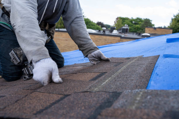 Best Metal Roofing Installation  in Richnd, MO
