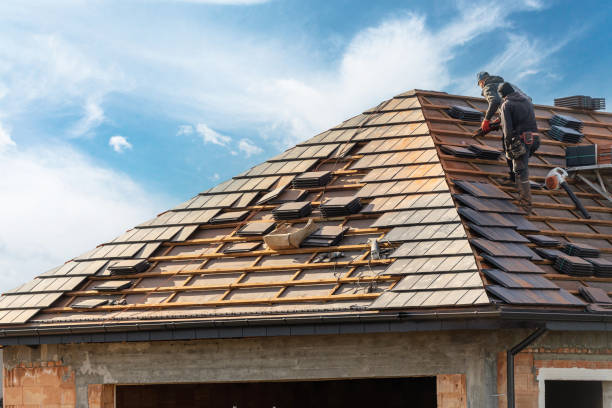 Best Roof Moss and Algae Removal  in Richnd, MO