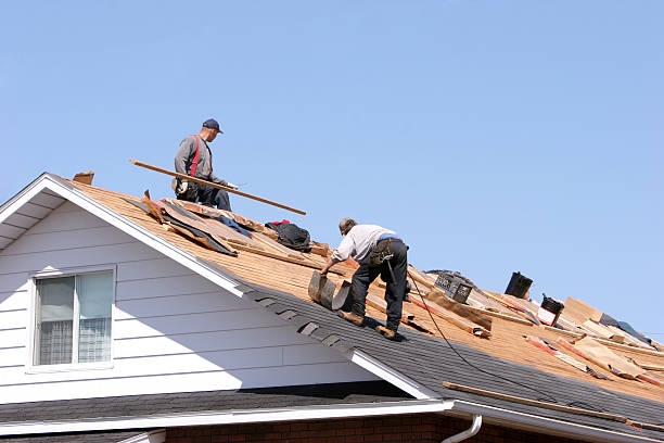 Best Metal Roofing Installation  in Richnd, MO